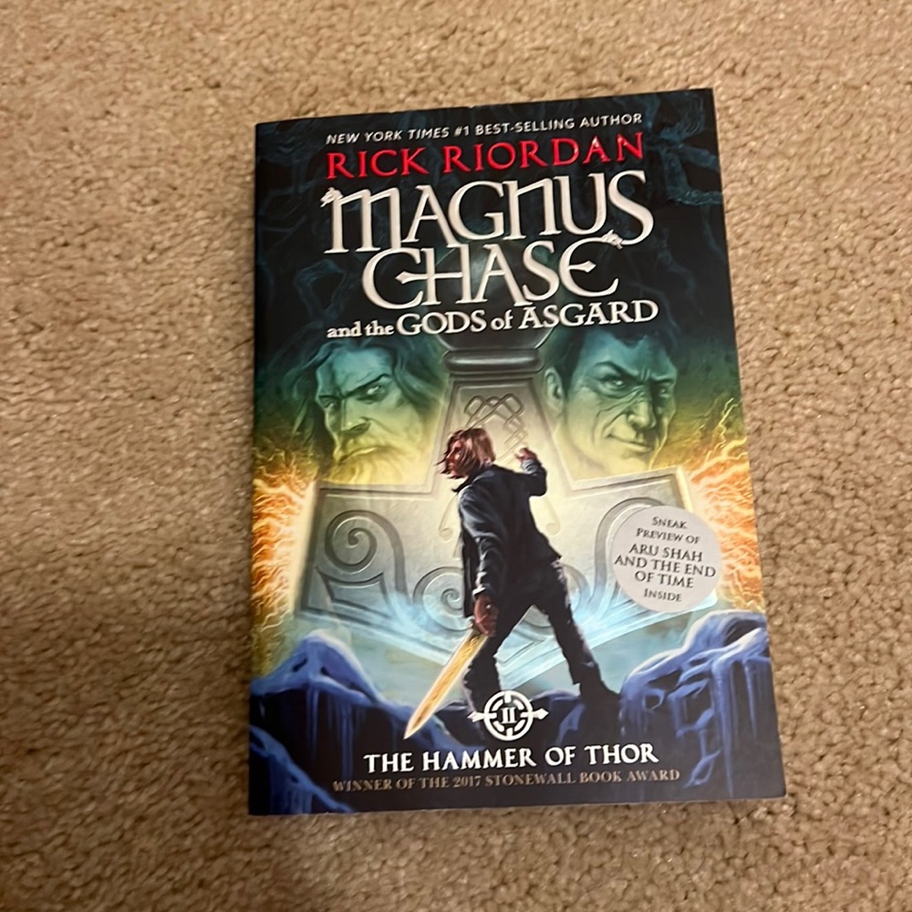 Magnus Chase book